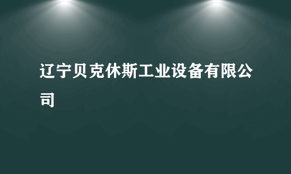 辽宁贝克休斯工业设备有限公司