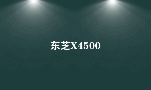 东芝X4500