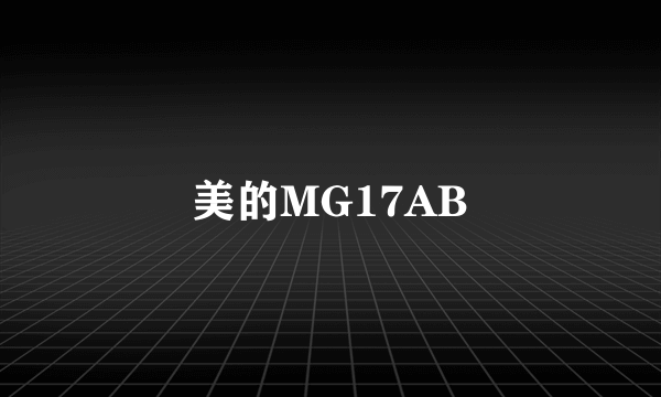 美的MG17AB