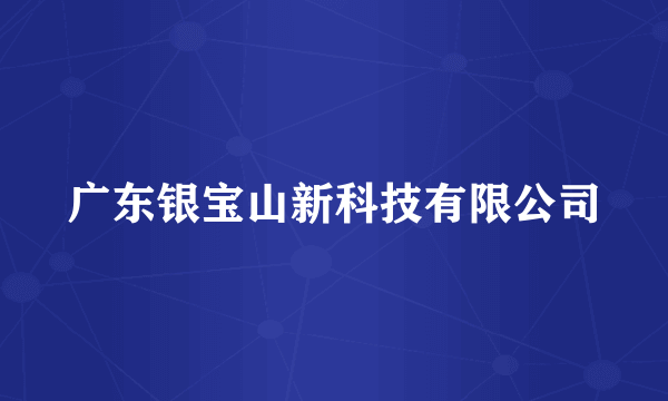 广东银宝山新科技有限公司