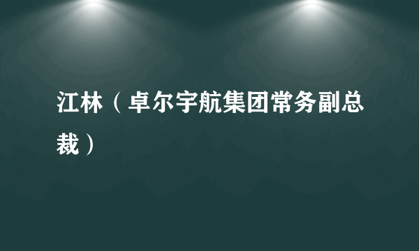 江林（卓尔宇航集团常务副总裁）