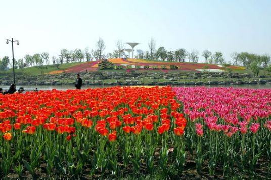 首届中国花木节