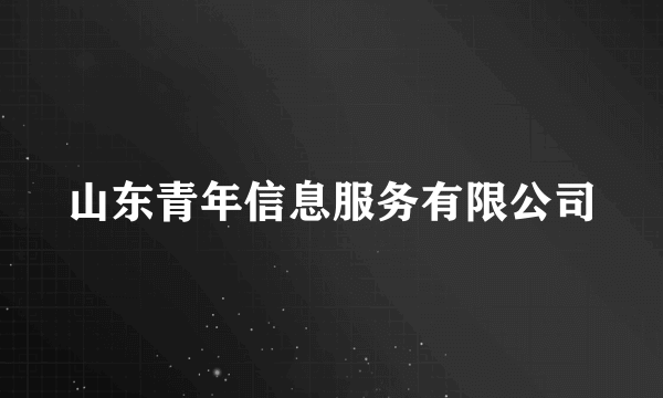 山东青年信息服务有限公司