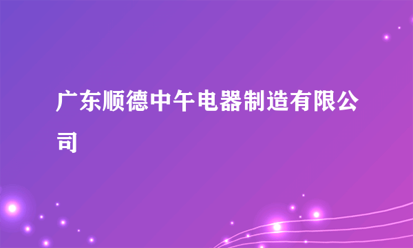 广东顺德中午电器制造有限公司