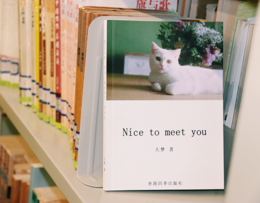 nice to meet you（2018年四季出版社出版的图书）