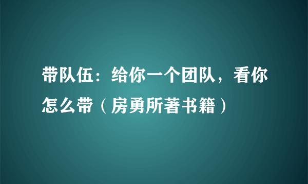 带队伍：给你一个团队，看你怎么带（房勇所著书籍）