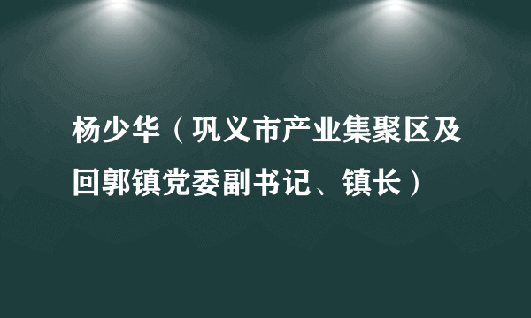 什么是杨少华（巩义市产业集聚区及回郭镇党委副书记、镇长）