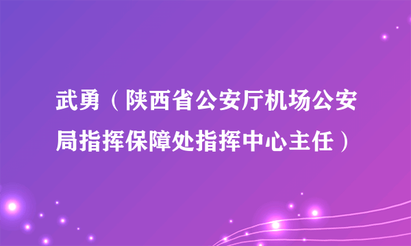 武勇（陕西省公安厅机场公安局指挥保障处指挥中心主任）