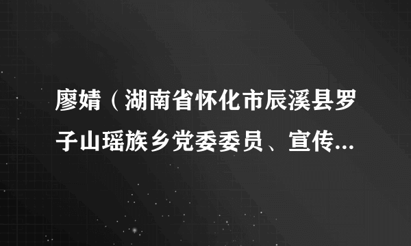 廖婧（湖南省怀化市辰溪县罗子山瑶族乡党委委员、宣传委员、政法委员、副乡长）