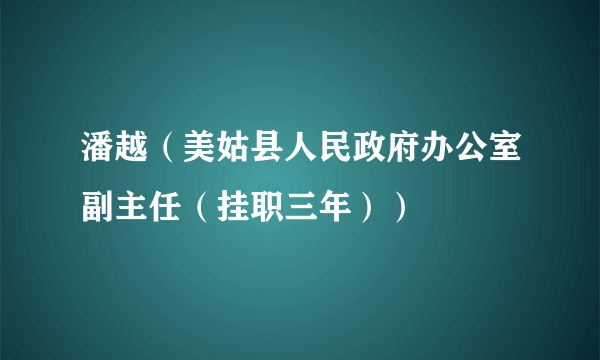 什么是潘越（美姑县人民政府办公室副主任（挂职三年））