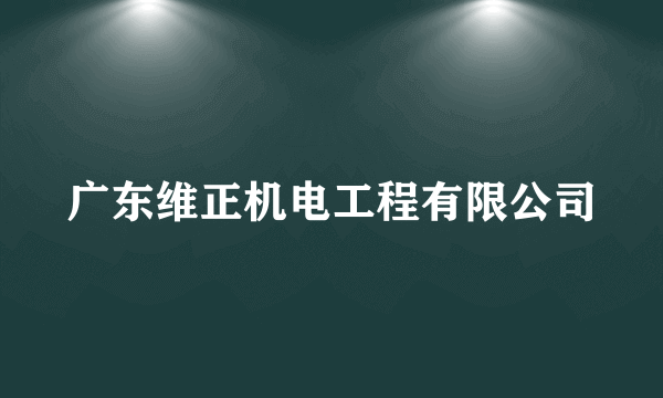 广东维正机电工程有限公司