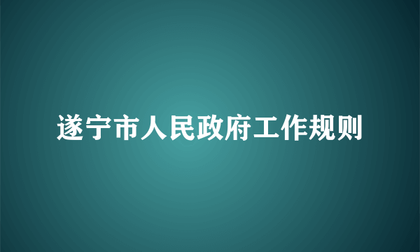 遂宁市人民政府工作规则