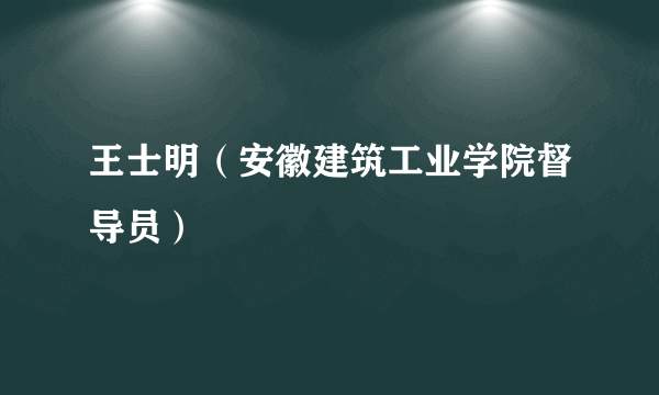 王士明（安徽建筑工业学院督导员）