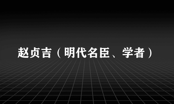 赵贞吉（明代名臣、学者）