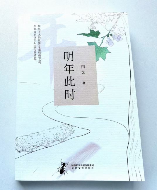 什么是明年此时（2020年田艺创作的长篇小说）