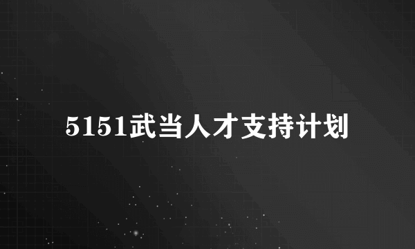 5151武当人才支持计划