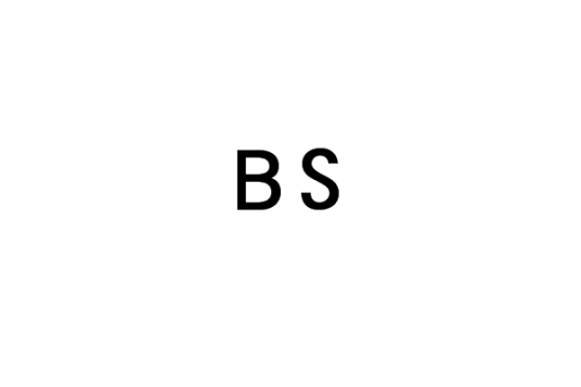 BS（理学学士）