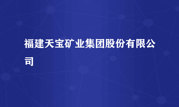 什么是福建天宝矿业集团股份有限公司