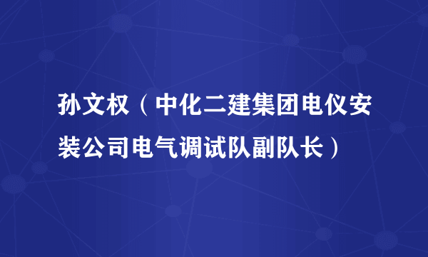 孙文权（中化二建集团电仪安装公司电气调试队副队长）