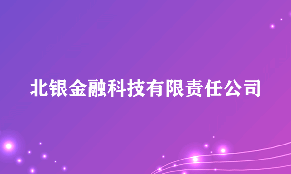 什么是北银金融科技有限责任公司