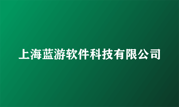 上海蓝游软件科技有限公司