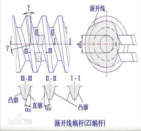 渐开线蜗杆