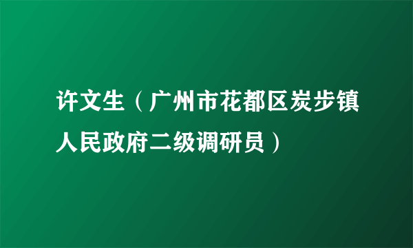 什么是许文生（广州市花都区炭步镇人民政府二级调研员）