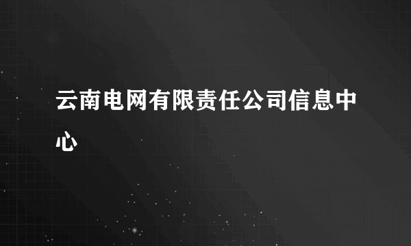 云南电网有限责任公司信息中心