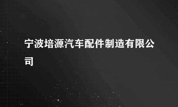 宁波培源汽车配件制造有限公司