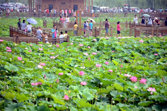 平乐村（广东湛江市下辖村）