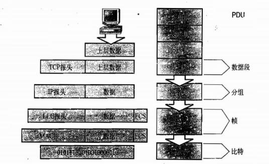 数据段