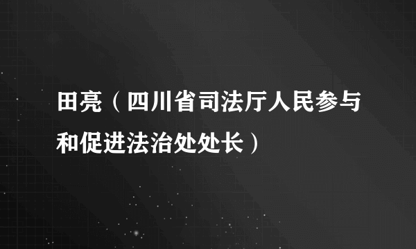 田亮（四川省司法厅人民参与和促进法治处处长）