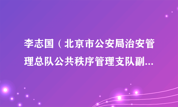 什么是李志国（北京市公安局治安管理总队公共秩序管理支队副支队长）