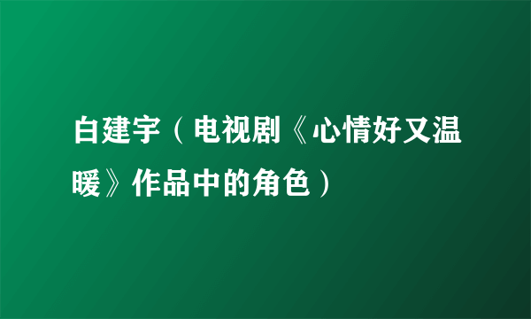 白建宇（电视剧《心情好又温暖》作品中的角色）