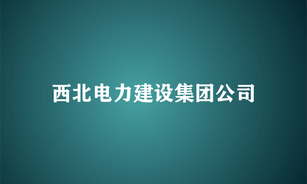 西北电力建设集团公司