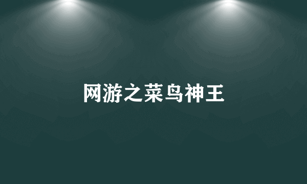 网游之菜鸟神王