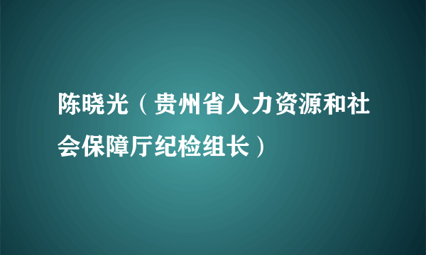 什么是陈晓光（贵州省人力资源和社会保障厅纪检组长）