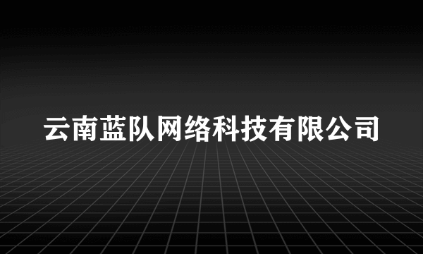 云南蓝队网络科技有限公司