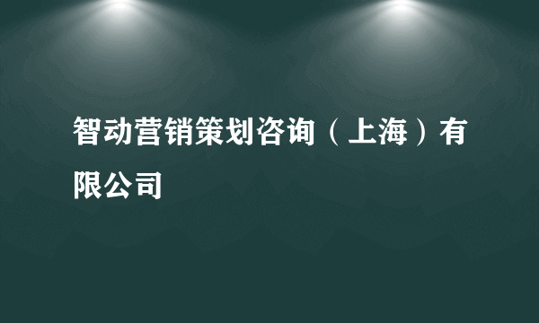 智动营销策划咨询（上海）有限公司