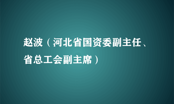 赵波（河北省国资委副主任、省总工会副主席）