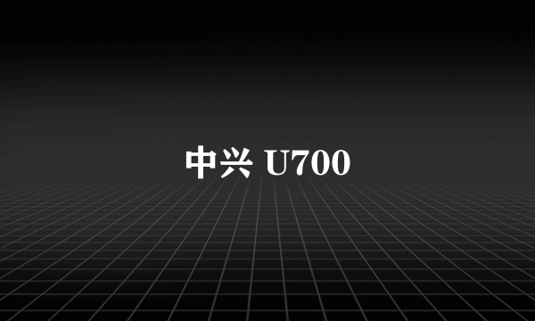 中兴 U700