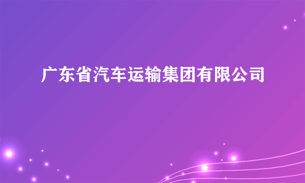 广东省汽车运输集团有限公司