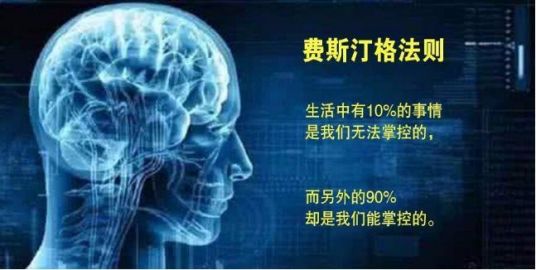 什么是费斯汀格法则