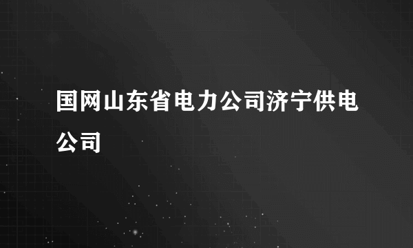 国网山东省电力公司济宁供电公司