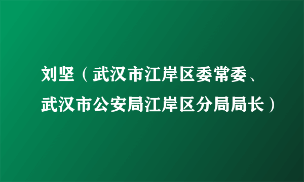 什么是刘坚（武汉市江岸区委常委、武汉市公安局江岸区分局局长）