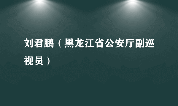 刘君鹏（黑龙江省公安厅副巡视员）