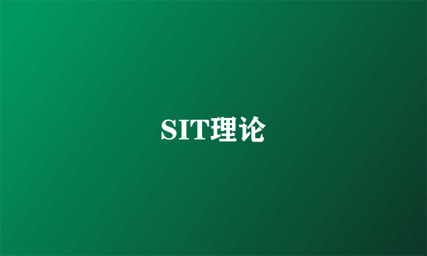 SIT理论