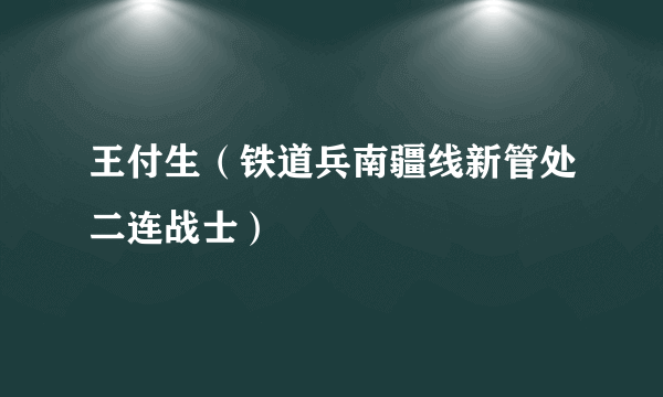 什么是王付生（铁道兵南疆线新管处二连战士）