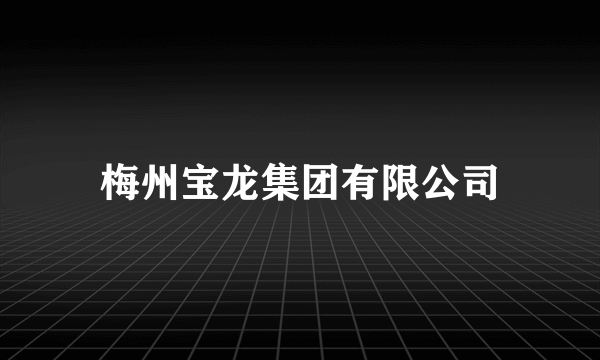 梅州宝龙集团有限公司