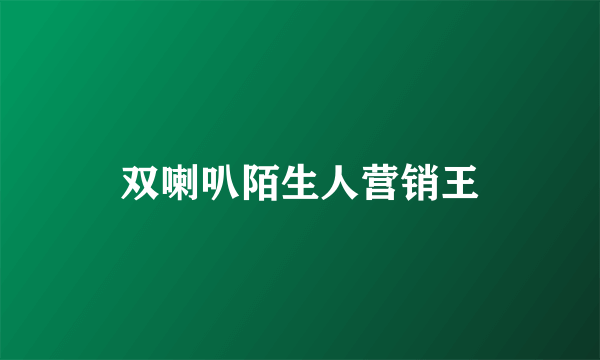 什么是双喇叭陌生人营销王